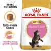 Royal Canin Maine Coon Kitten || Royal Canin Breed || view 1