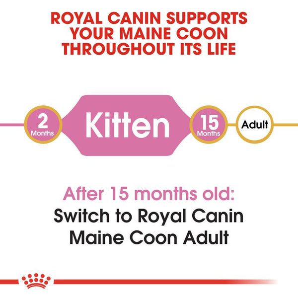 Royal Canin Maine Coon Kitten || Royal Canin Breed || view 4
