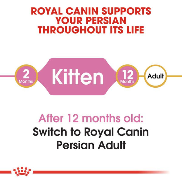 Royal Canin Persian Kitten || Royal Canin Breed || view 4