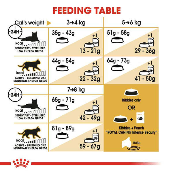 Royal Canin Norwegian Forest Cat Adult || Royal Canin Breed || view 5