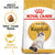 Royal Canin Ragdoll Adult || Royal Canin Breed || view 1
