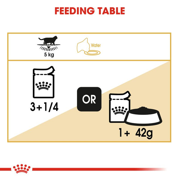 Royal Canin British Shorthair Adult in Gravy || undefined || view 5
