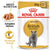 Royal Canin British Shorthair Adult in Gravy || undefined || view 1