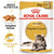 Royal Canin Maine Coon Adult in Gravy || undefined || view 1