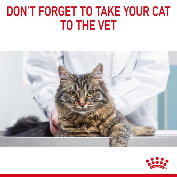 Royal Canin Digestive Care in Gravy || undefined || view 12