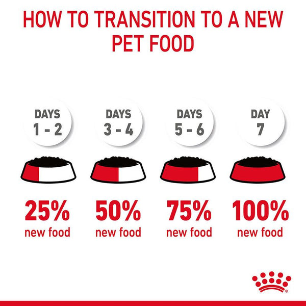 Royal Canin Hair & Skin Care in Gravy || undefined || view 11