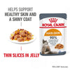 Royal Canin Hair & Skin Care in Jelly || undefined || view 1