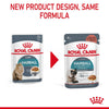 Royal Canin Hairball Care in Gravy || undefined || view 10