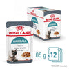 Royal Canin Hairball Care in Gravy || undefined || view 2