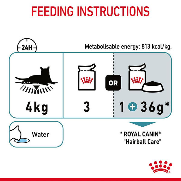 Royal Canin Hairball Care in Jelly || Royal Canin Care Nutrition || view 10