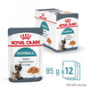 Royal Canin Hairball Care in Jelly || Royal Canin Care Nutrition || view 4