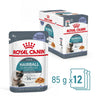 Royal Canin Hairball Care in Jelly || Royal Canin Care Nutrition || view 3