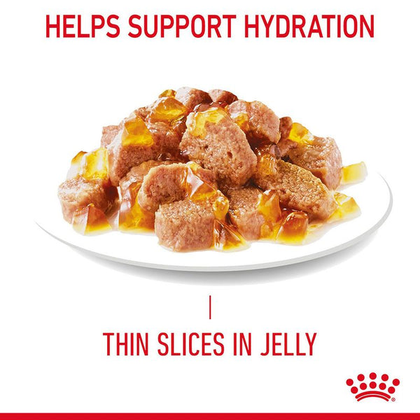 Royal Canin Hairball Care in Jelly || Royal Canin Care Nutrition || view 7