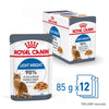 Royal Canin Light Weight Care in Jelly || undefined || view 2