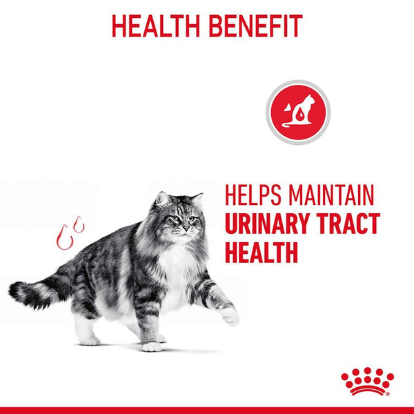 Royal Canin Urinary Care in Gravy || undefined || view 5