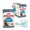 Royal Canin Urinary Care in Jelly || Royal Canin Care Nutrition || view 2
