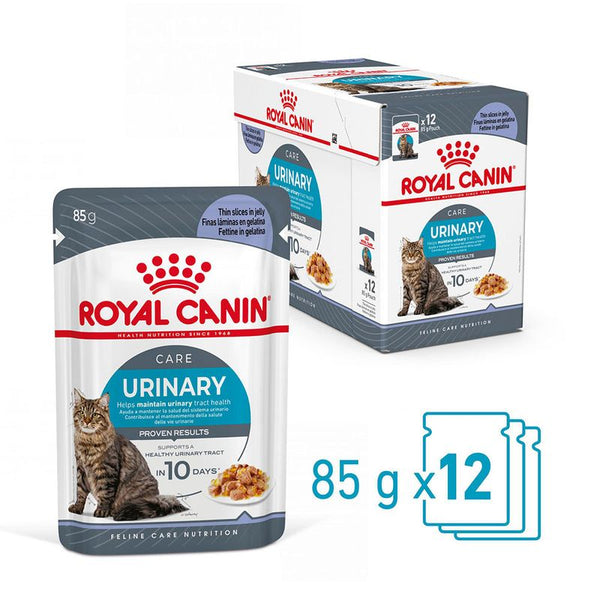 Royal Canin Urinary Care in Jelly || Royal Canin Care Nutrition || view 2