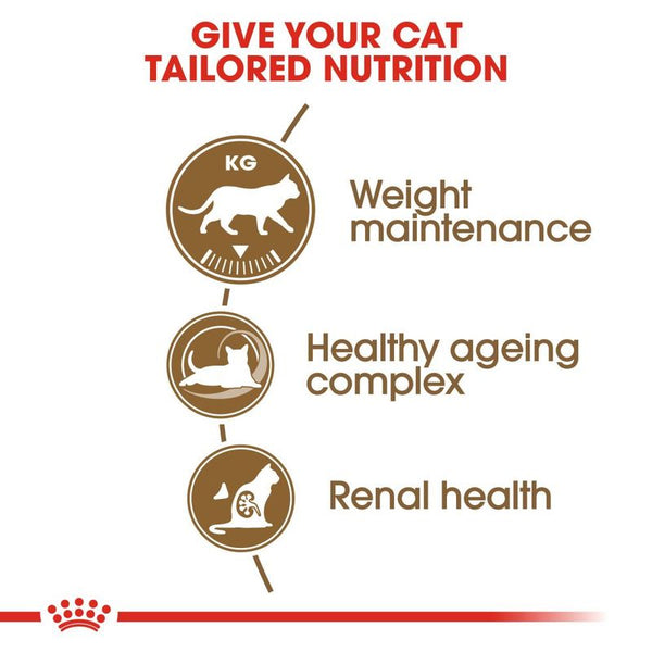 Royal Canin Ageing Sterilised 12+ || Royal Canin || view 7