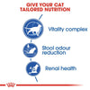 Royal Canin Indoor 7+ || Royal Canin || view 7