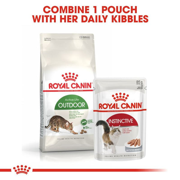 Royal Canin Outdoor Cat || Royal Canin || view 4