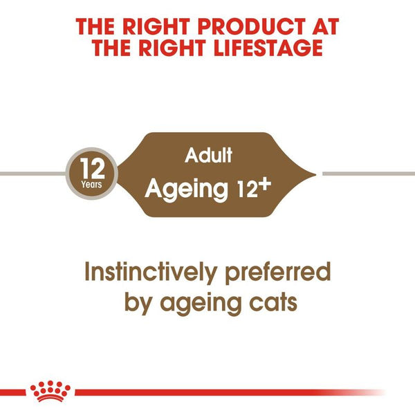Royal Canin Ageing 12+ in Jelly || undefined || view 5