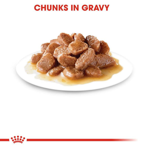 Royal Canin Instinctive in Gravy || undefined || view 3