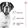 Royal Canin Giant Adult || Royal Canin Size || view 4