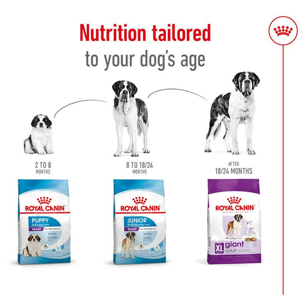 Royal Canin Giant Adult || Royal Canin Size || view 7