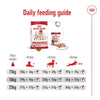 Royal Canin Medium Adult || Royal Canin Size || view 10