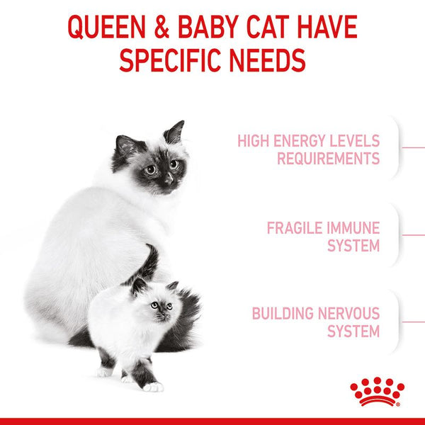 Royal Canin Mother & Babycat || undefined || view 4