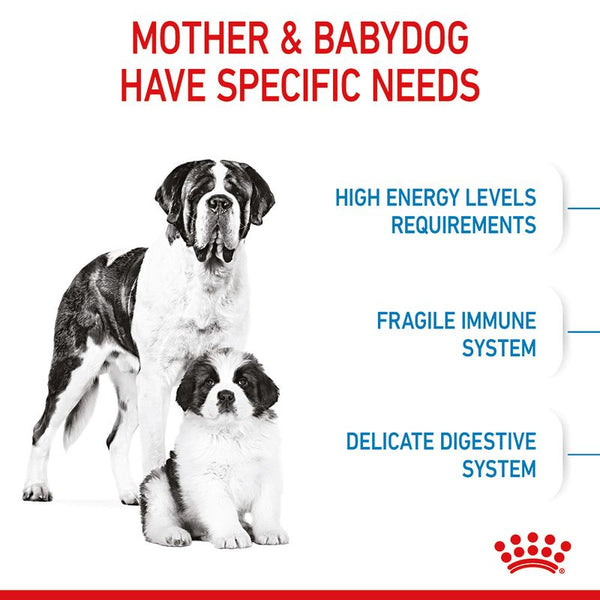Royal Canin Giant Starter Mother & Babydog || Royal Canin Size || view 4