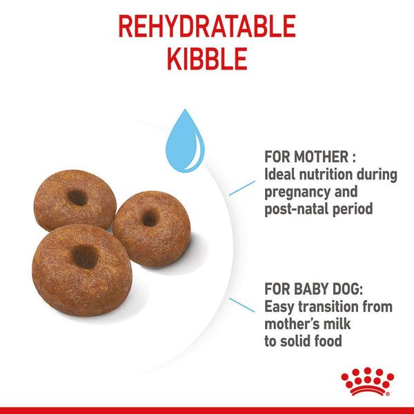 Royal Canin Giant Starter Mother & Babydog || Royal Canin Size || view 7