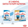 Royal Canin Giant Starter Mother & Babydog || Royal Canin Size || view 10