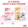 Royal Canin Kitten || Royal Canin || view 12