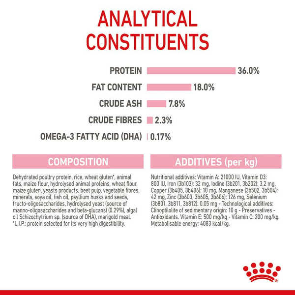 Royal Canin Kitten || Royal Canin || view 11