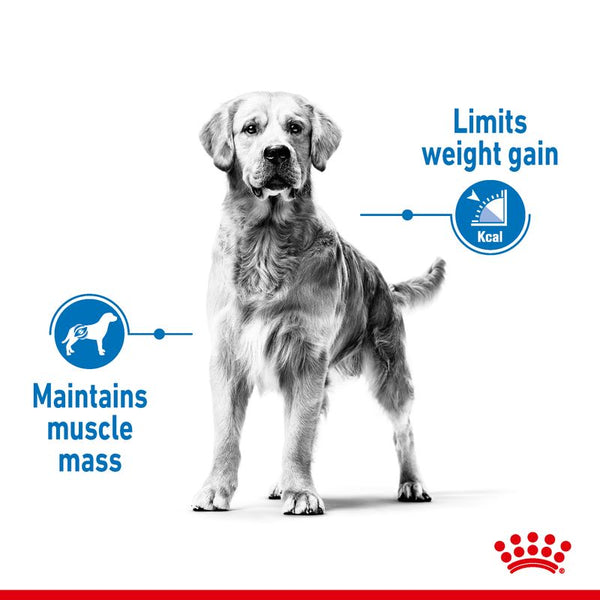 Royal Canin Maxi Light Weight Care || Royal Canin Care Nutrition || view 3