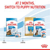 Royal Canin Maxi Starter Mother & Babydog || Royal Canin Size || view 8