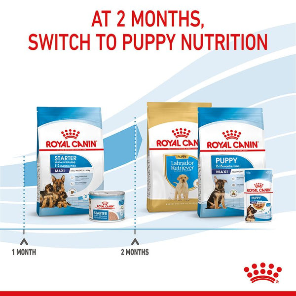 Royal Canin Maxi Starter Mother & Babydog || Royal Canin Size || view 8