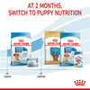 Royal Canin Medium Starter Mother & Babydog || Royal Canin Size || view 11
