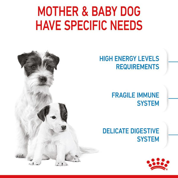 Royal Canin Mini Starter Mother & Babydog || Royal Canin Size || view 5