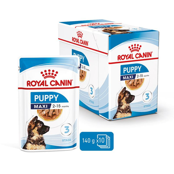 Royal Canin Maxi Puppy in Gravy || Royal Canin Size || view 2