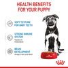 Royal Canin Maxi Puppy in Gravy || Royal Canin Size || view 6