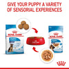 Royal Canin Maxi Puppy in Gravy || Royal Canin Size || view 7