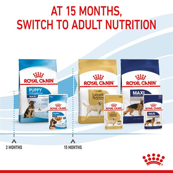 Royal Canin Maxi Puppy in Gravy || Royal Canin Size || view 10