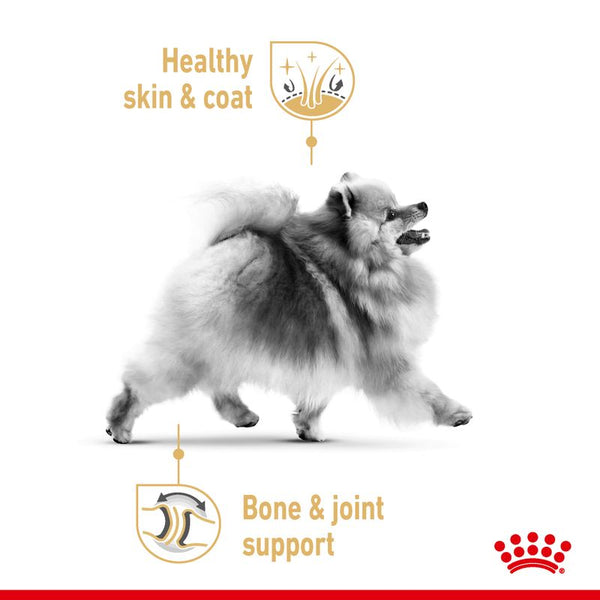 Royal Canin Pomeranian Adult Loaf || Royal Canin Breed || view 3