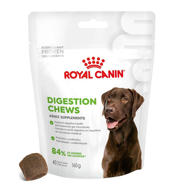 Royal Canin Digestion Adult Supplement Chews || Royal Canin || view 1