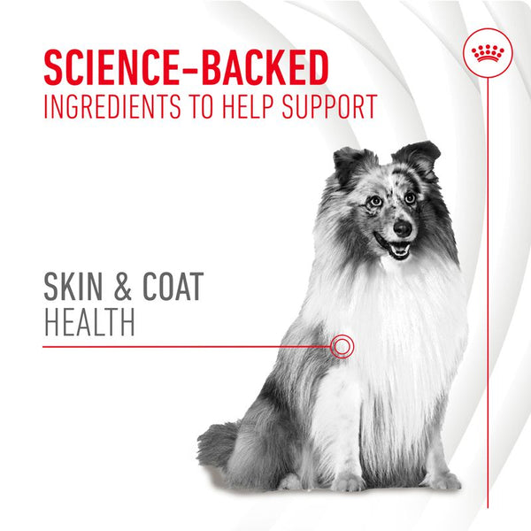 Royal Canin Skin & Coat Adult Supplement Chews || Royal Canin || view 3