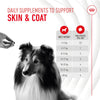 Royal Canin Skin & Coat Adult Supplement Chews || Royal Canin || view 6