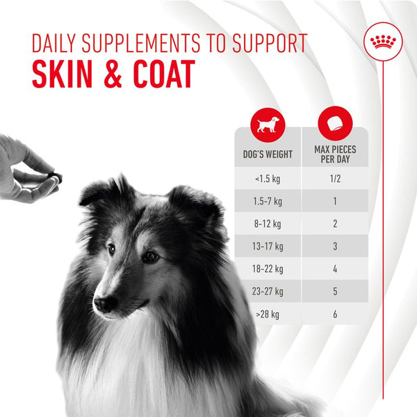 Royal Canin Skin & Coat Adult Supplement Chews || Royal Canin || view 6