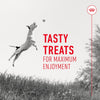 Royal Canin Training Treats || Royal Canin || view 6